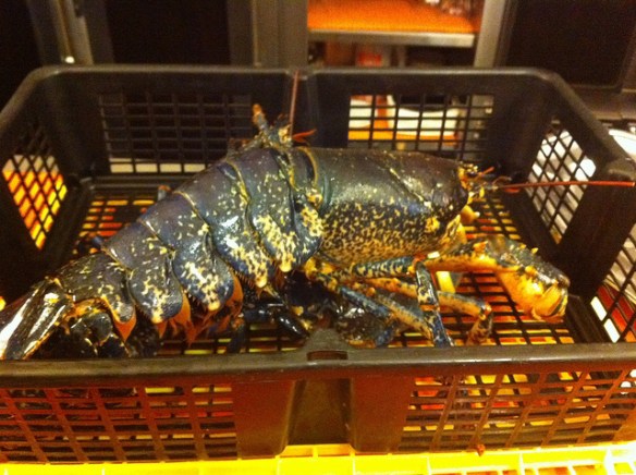 02 Bogavante Pazo Doval Marisquería