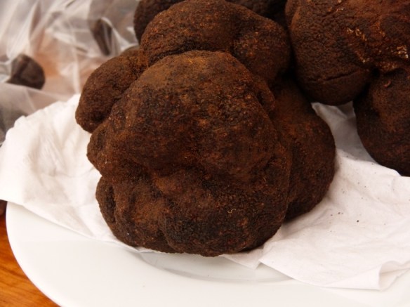 02 Trufa -Calafellvalo